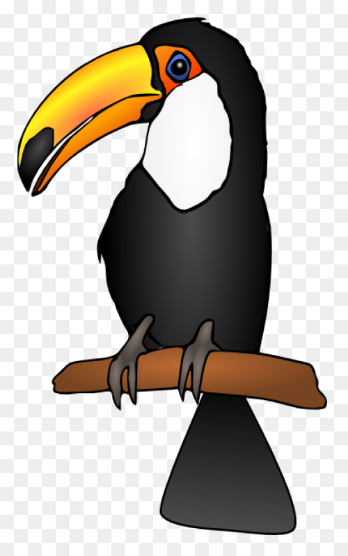Download Toucan Clipart Head - Huma