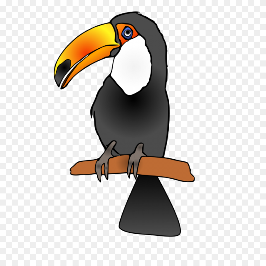 Download Toucan Clipart Head - Huma