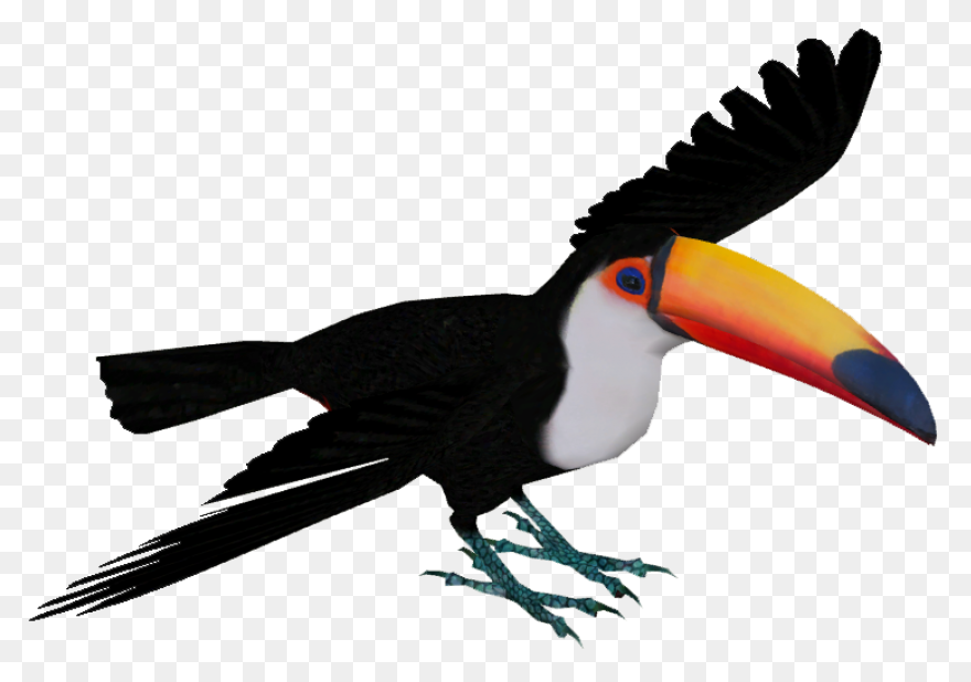 Download Toucan Clipart Head - Huma
