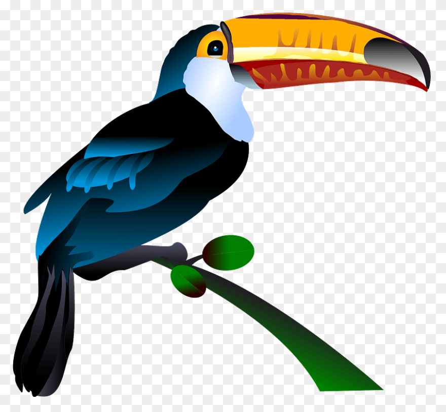 Download Toucan Clipart Head - Huma
