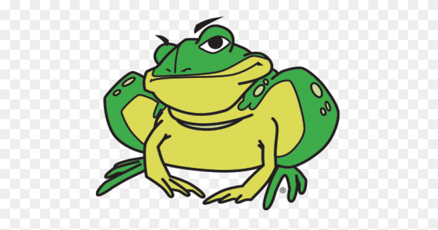 Frog Frog Toad Tree Frog Clipart - 