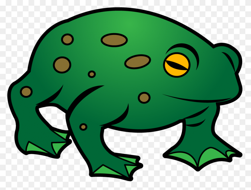 Frog Frog Toad Tree Frog Clipart - 
