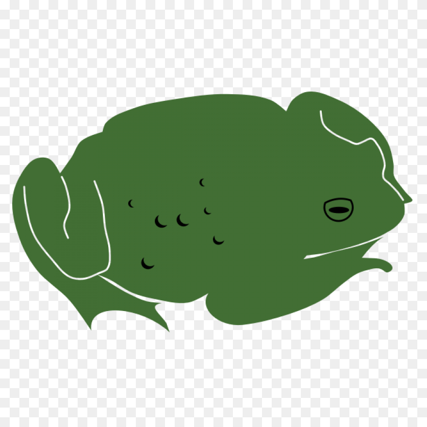 Frog Frog Toad Tree Frog Clipart - 
