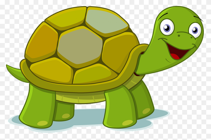The Tortoise, The Hare, And The Sna