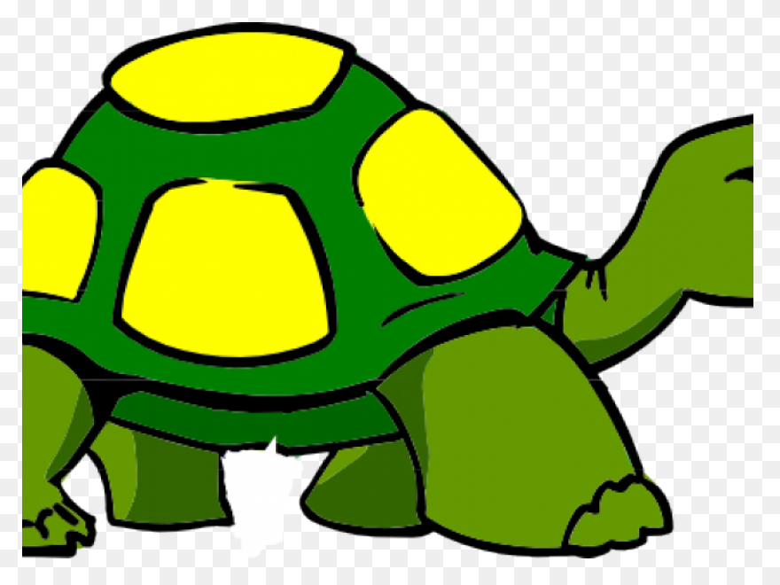 The Tortoise, The Hare, And The Sna