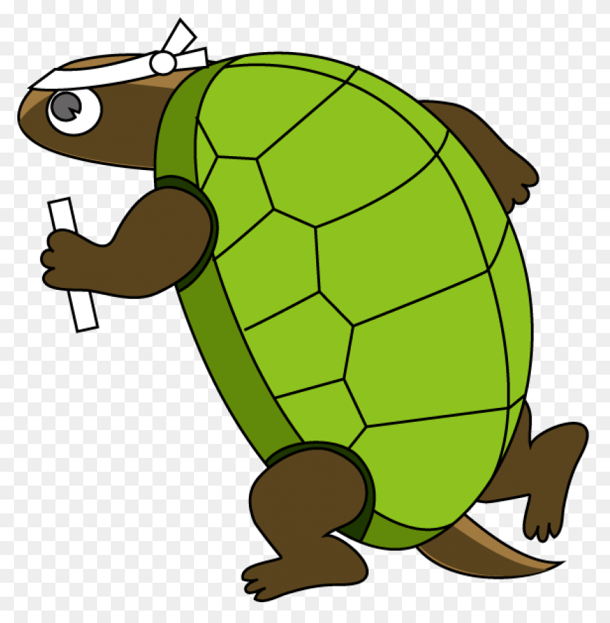The Tortoise, The Hare, And The Sna