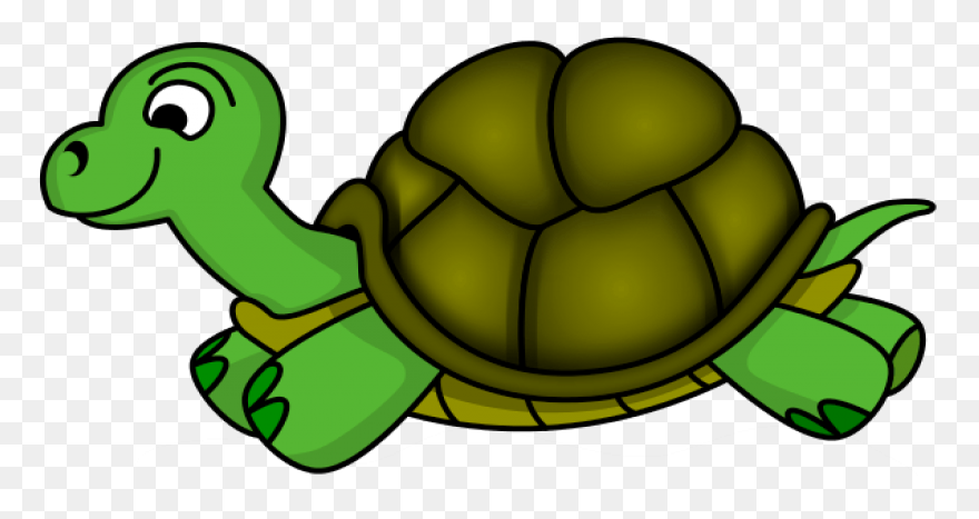The Tortoise, The Hare, And The Sna