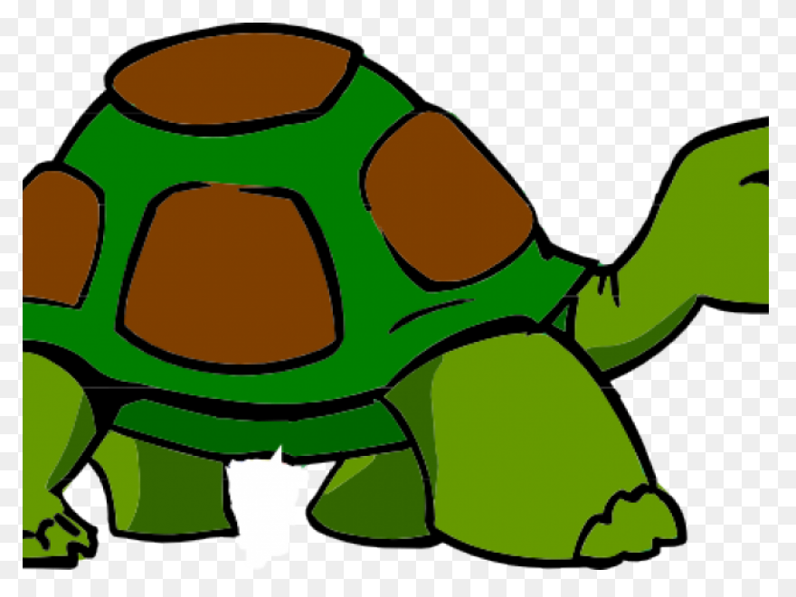The Tortoise, The Hare, And The Sna