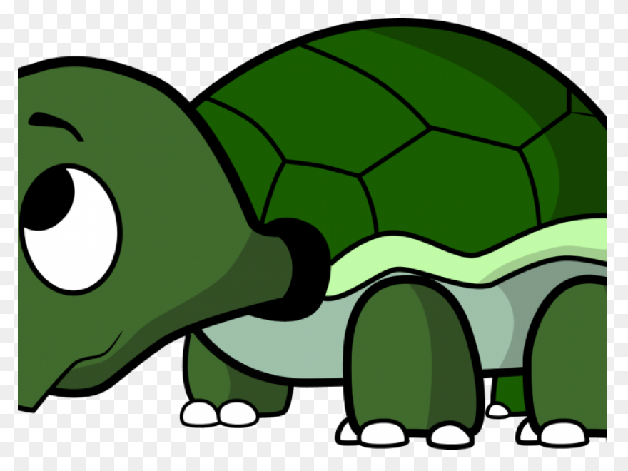 The Tortoise, The Hare, And The Sna