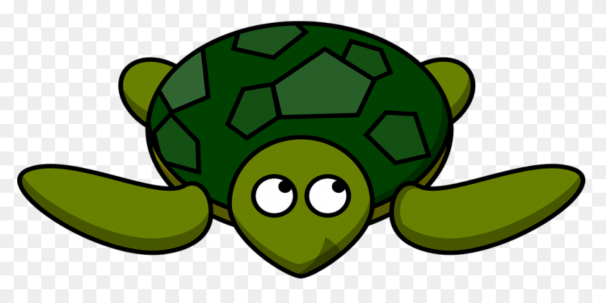 Turtle Animal Tortoise Free Vector - Tortoise