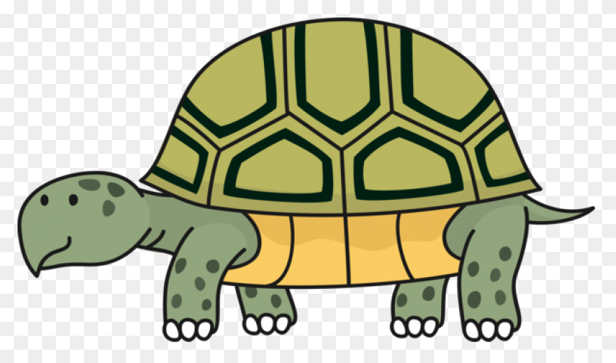 The Tortoise, The Hare, And The Sna