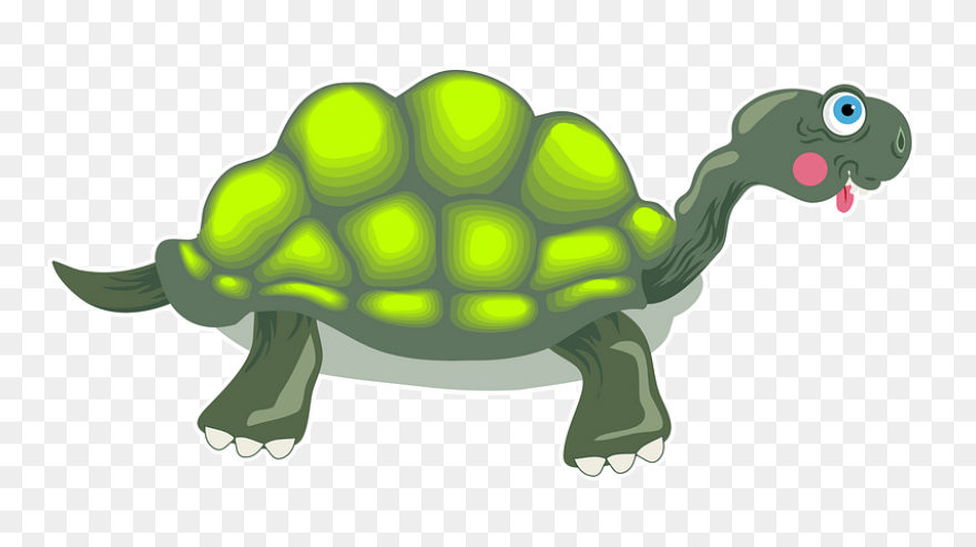 The Tortoise, The Hare, And The Sna