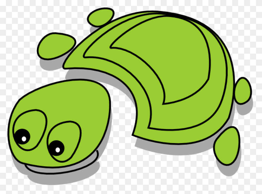 The Tortoise, The Hare, And The Sna