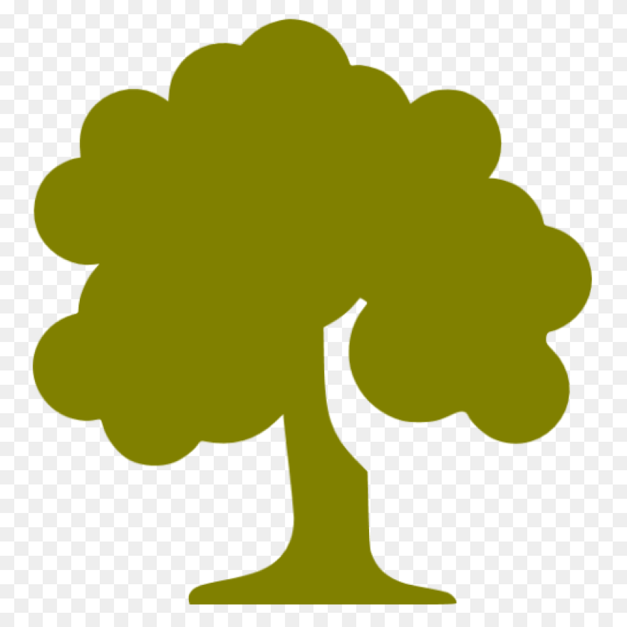 Forest, Oak Tree, Round Tree, Tree 