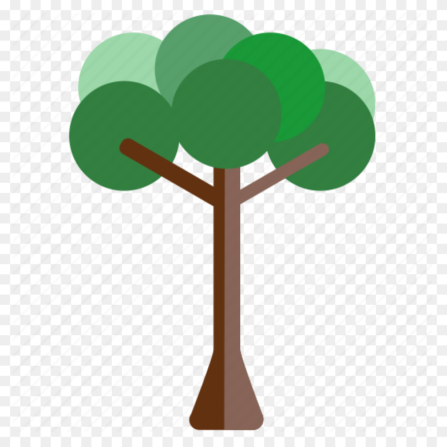 Forest, Oak Tree, Round Tree, Tree 