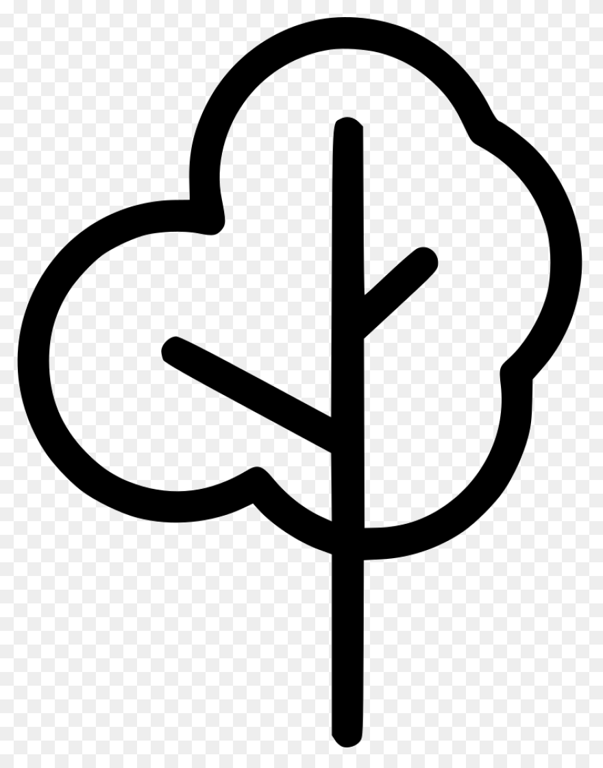 Forest, Oak Tree, Round Tree, Tree 