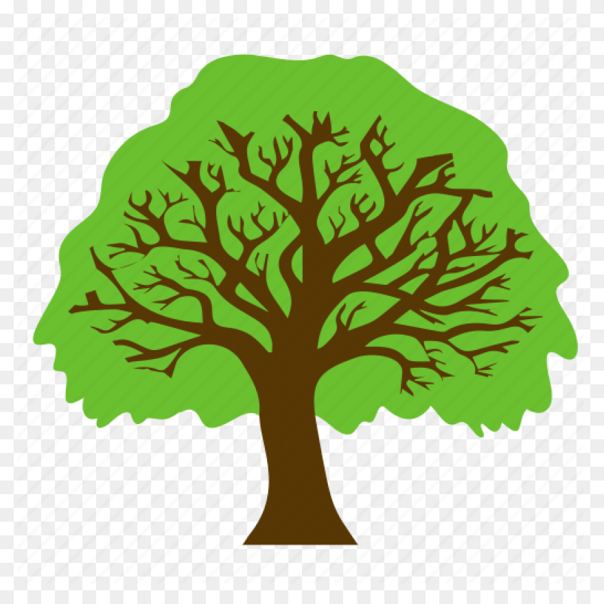 Forest Oak Tree Round Tree - Tree Icon