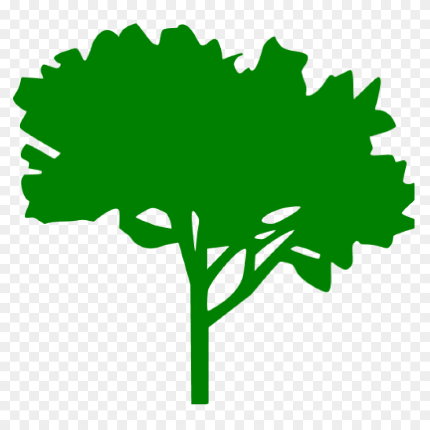 Forest, Oak Tree, Round Tree, Tree 