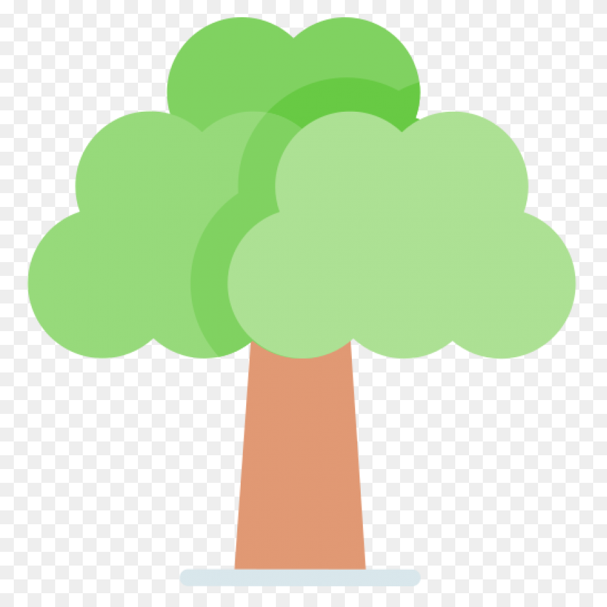 Forest, Oak Tree, Round Tree, Tree 