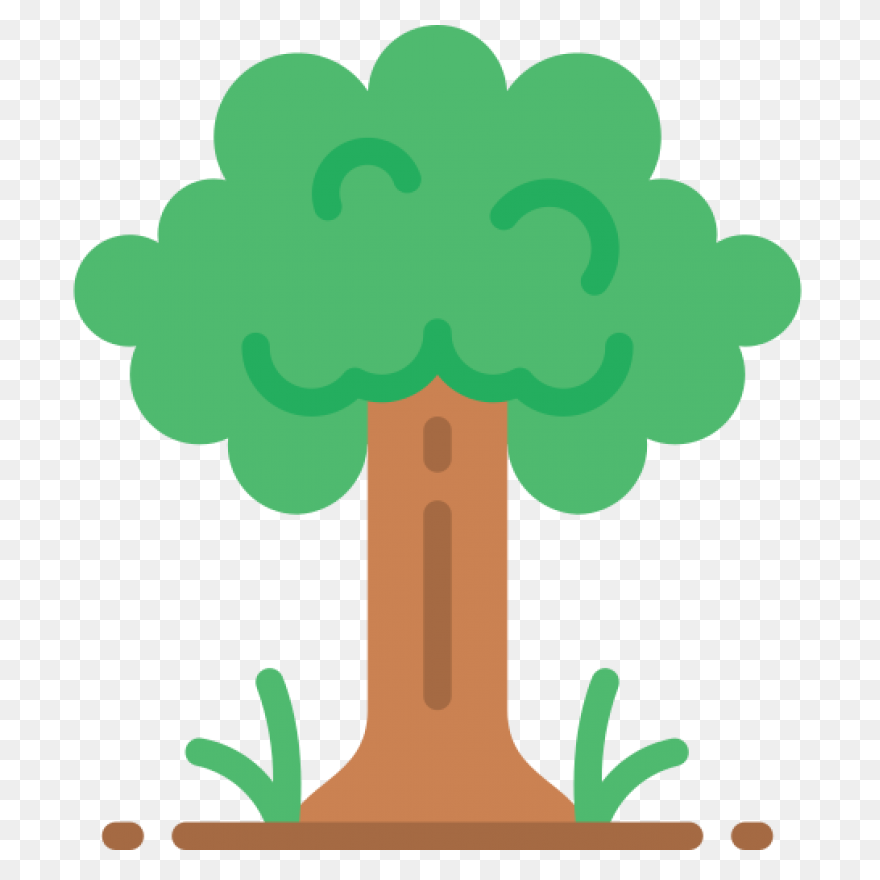 Forest, Oak Tree, Round Tree, Tree 