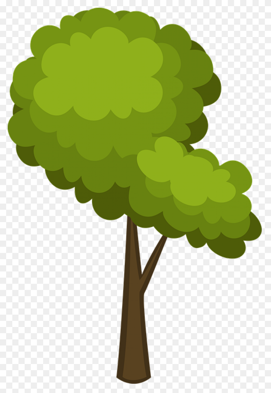 Forest, Oak Tree, Round Tree, Tree 