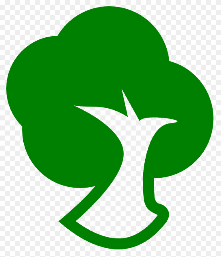 Forest, Oak Tree, Round Tree, Tree 