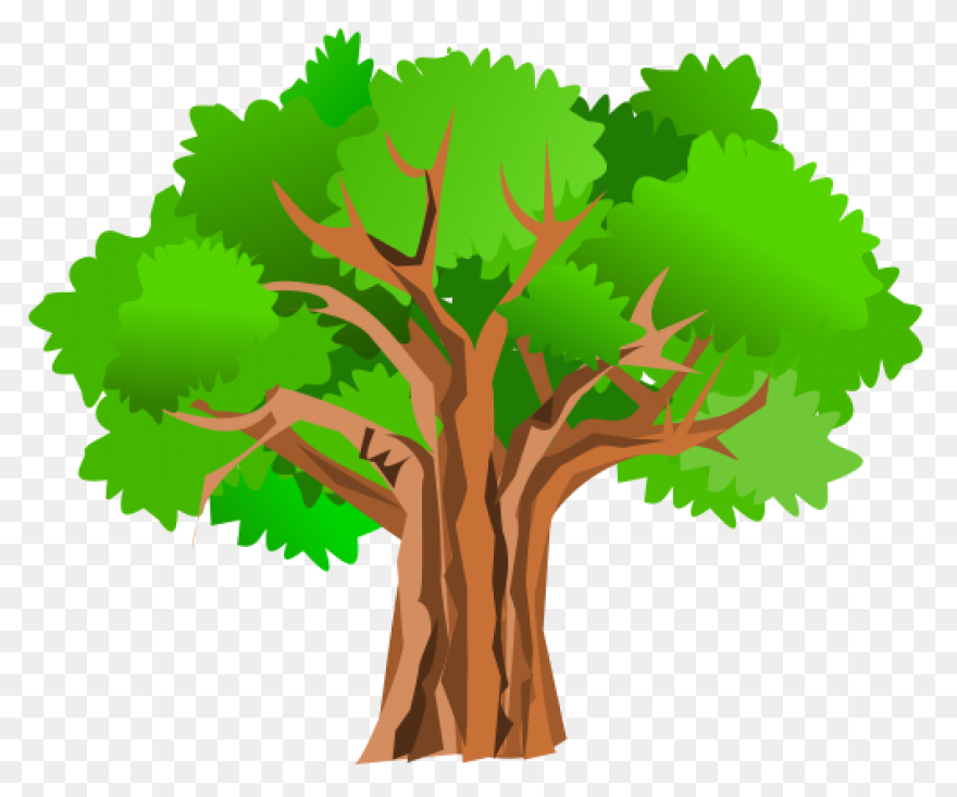Rainforest Trees Clipart - ClipartF