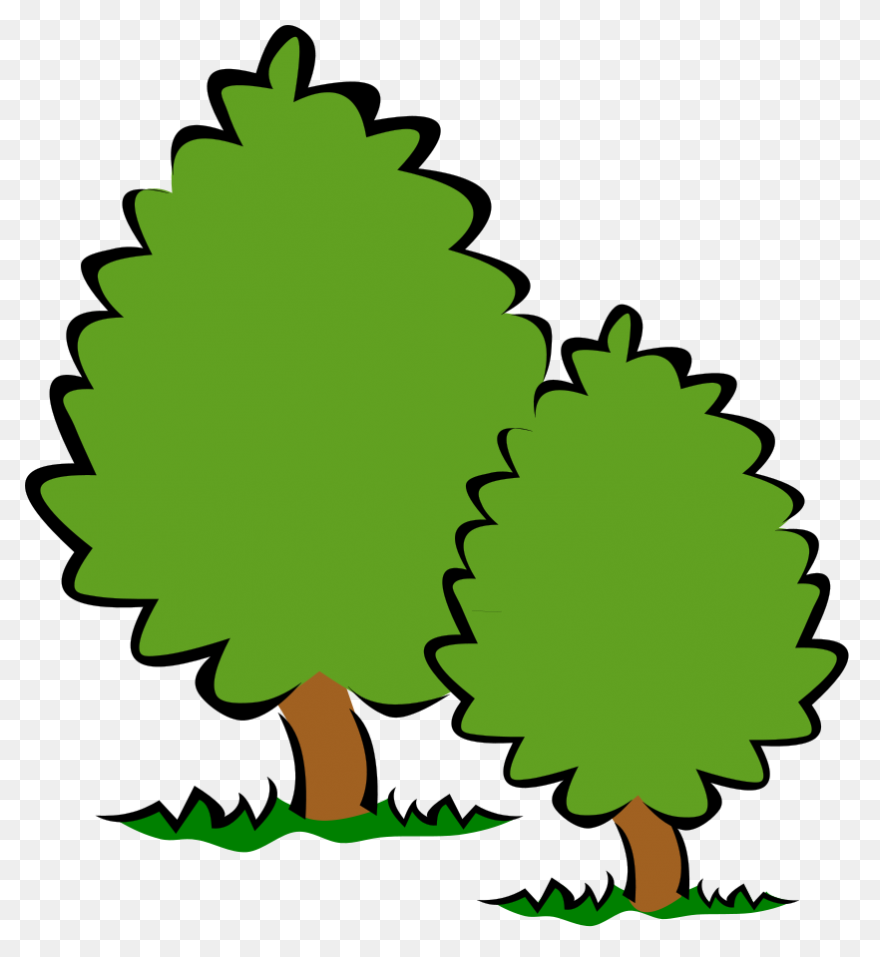 Rainforest Trees Clipart - ClipartF