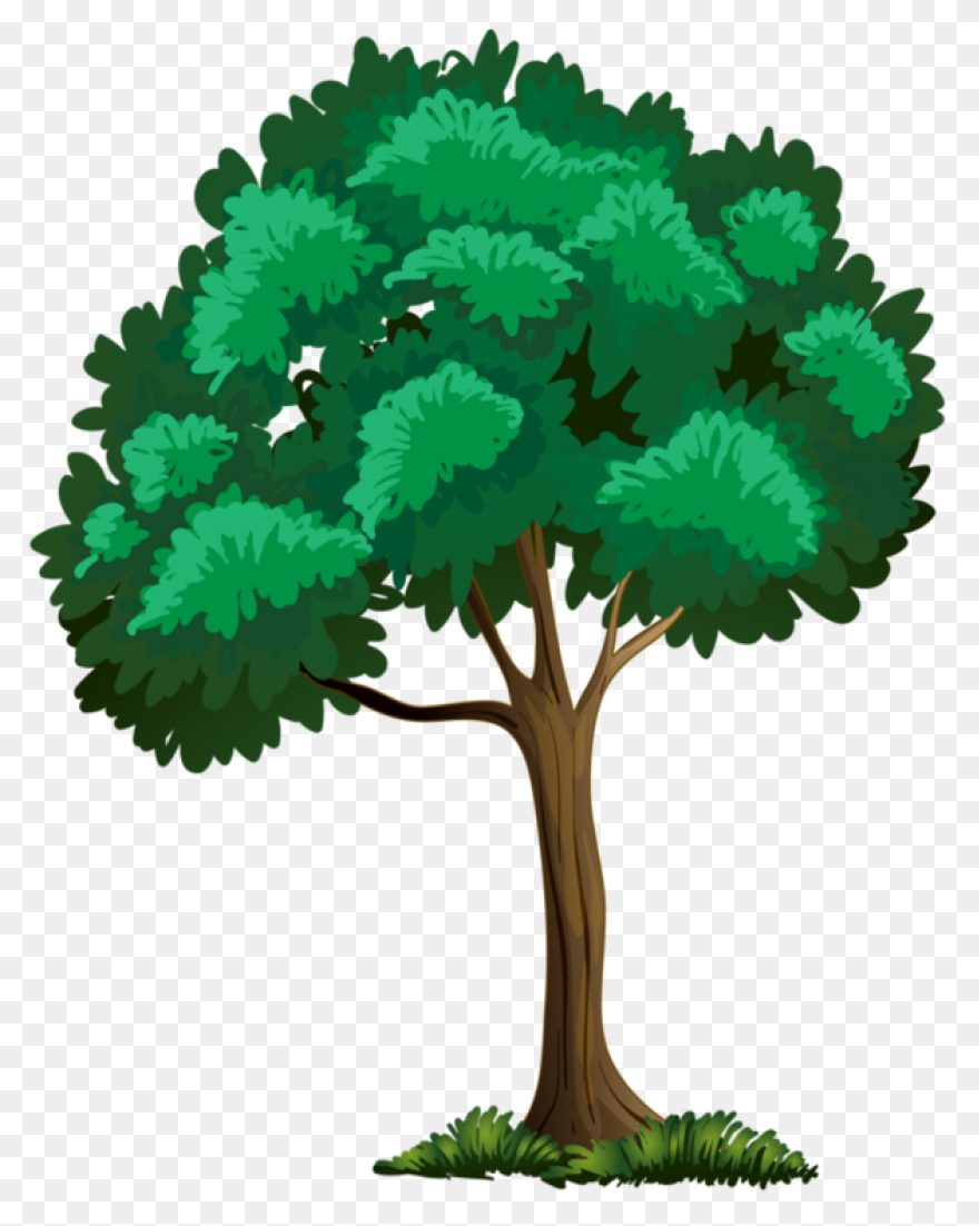 Rainforest Trees Clipart - ClipartF