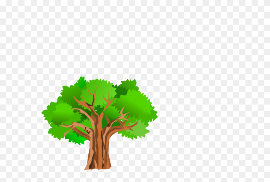 Rainforest Trees Clipart   - Trees