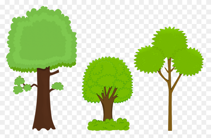 Rainforest Trees Clipart - ClipartF
