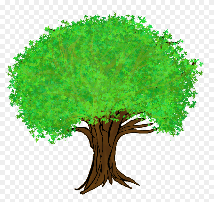 Download Fruit Tree Branch Asian Pe