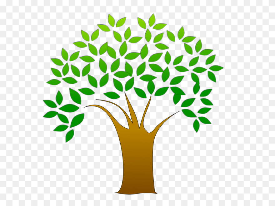 Download Fruit Tree Branch Asian Pe