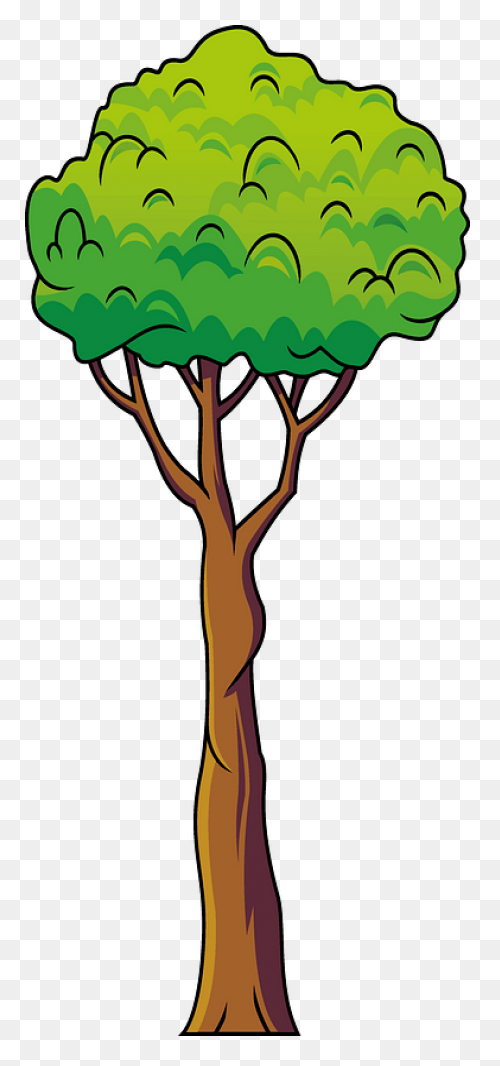Download Fruit Tree Branch Asian - Tree