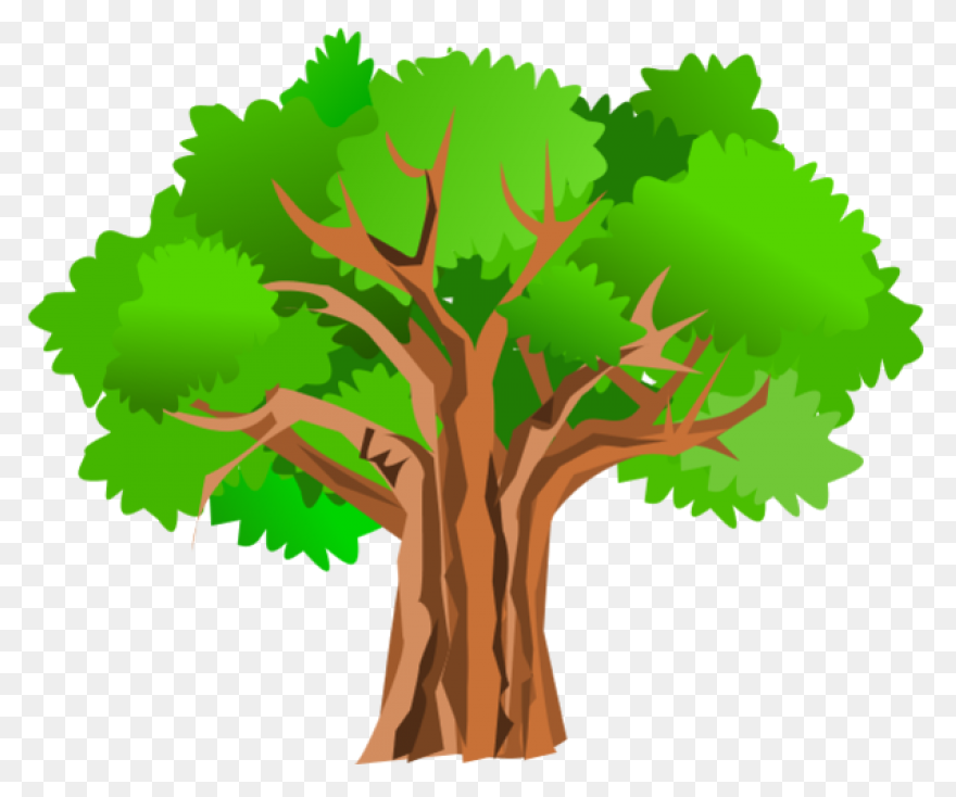 Download Fruit Tree Branch Asian Pe