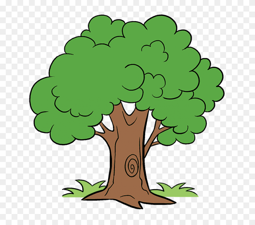 Download Fruit Tree Branch Asian Pe