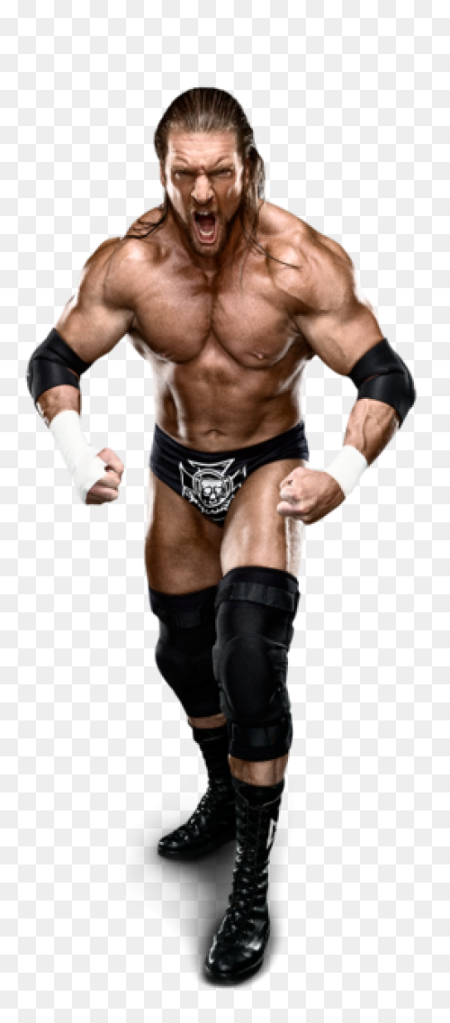 Wwe Triple H Logos Posted By Ethan 