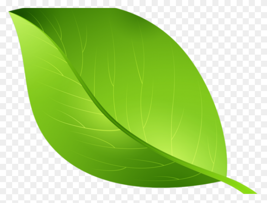 Leaf Apple High-Definition Televisi