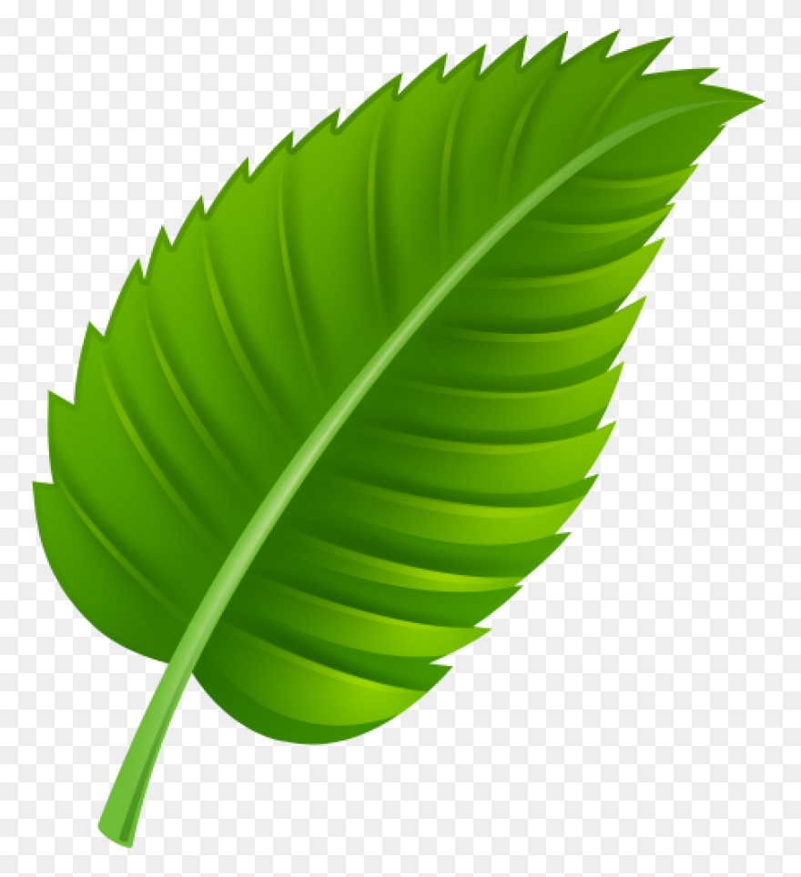 Leaf Apple High-Definition Televisi