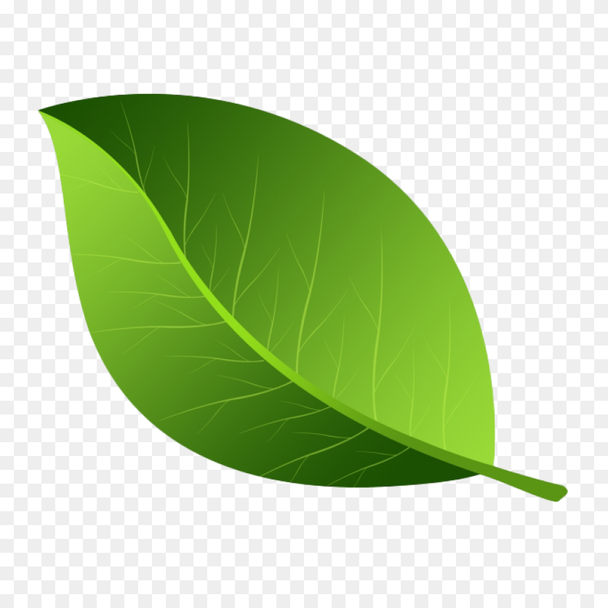 Leaf Apple High-Definition Televisi