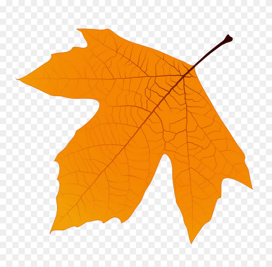 Leaf Apple High-Definition Televisi