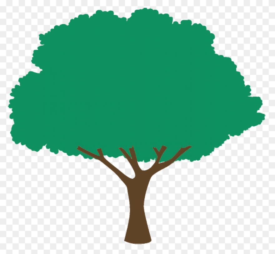 Tree Trunk Plan - Free Vector Graph