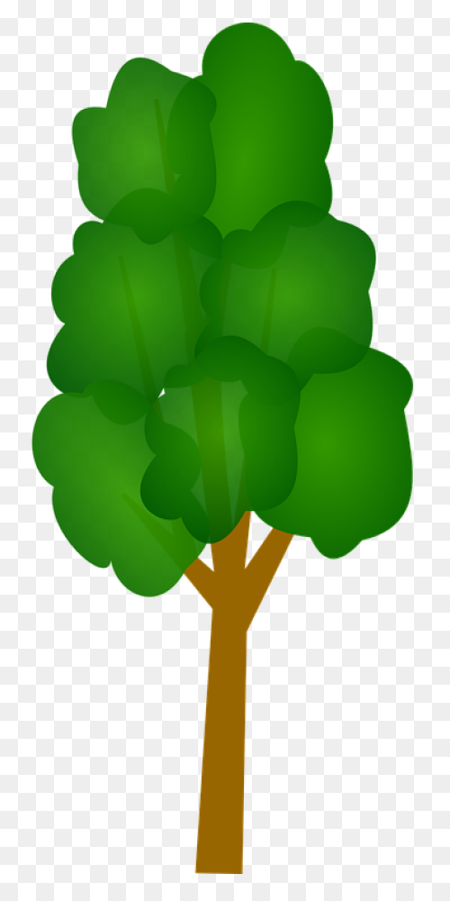 Tree Trunk Plan Free Vector - Tree Plan
