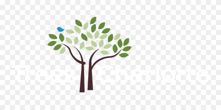 Tree Trunk Plan - Free Vector Graph