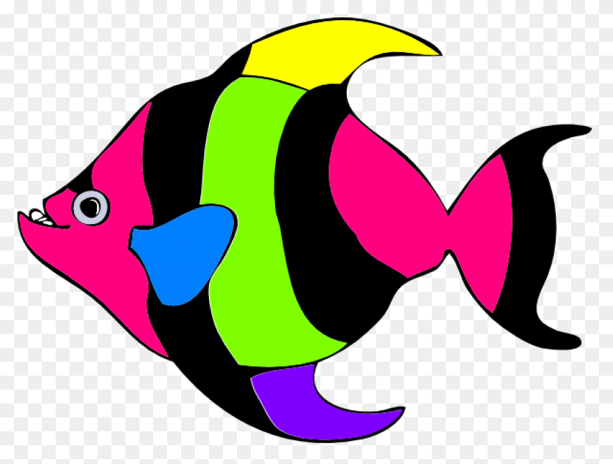 Tropical Fish Clipart Transparent F