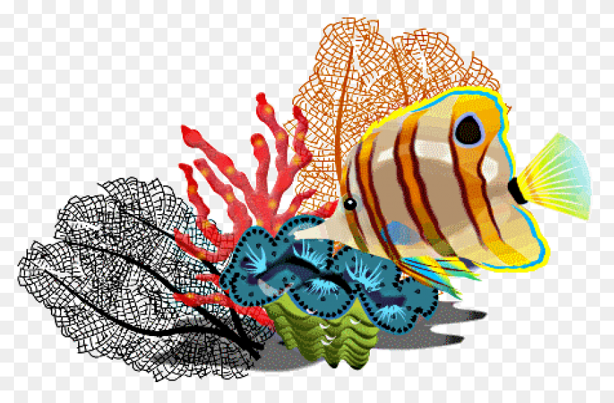 Tropical Fish Clipart Transparent F