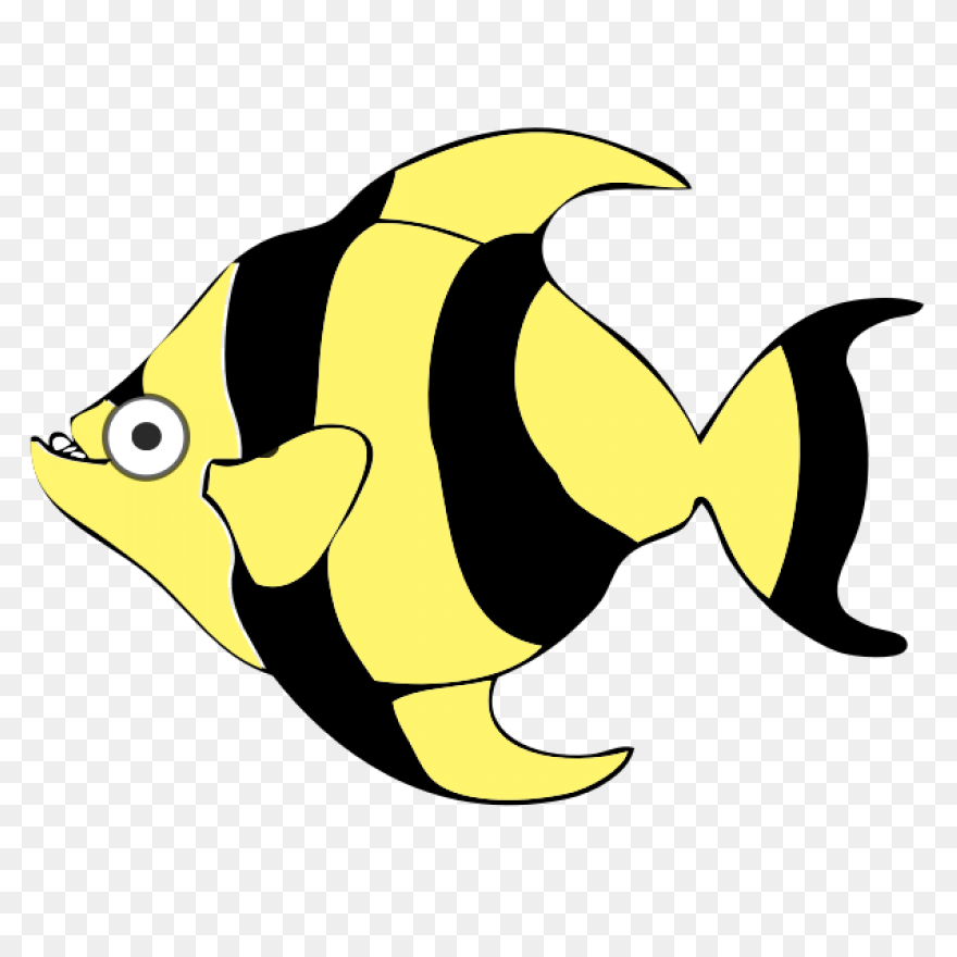 Tropical Fish Clipart Transparent F