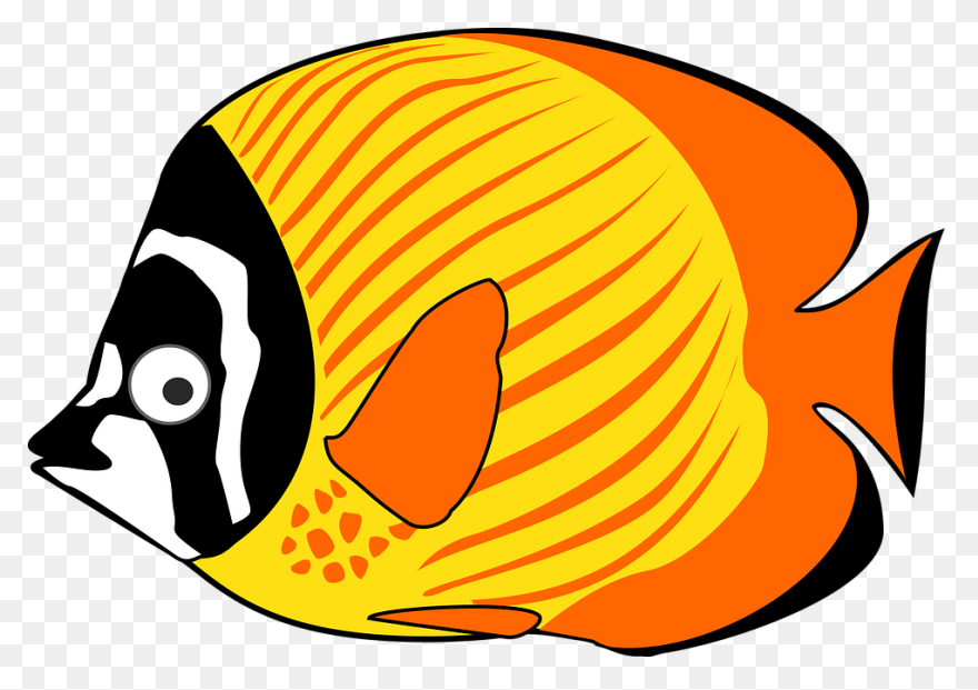 Tropical Fish Clipart Transparent F