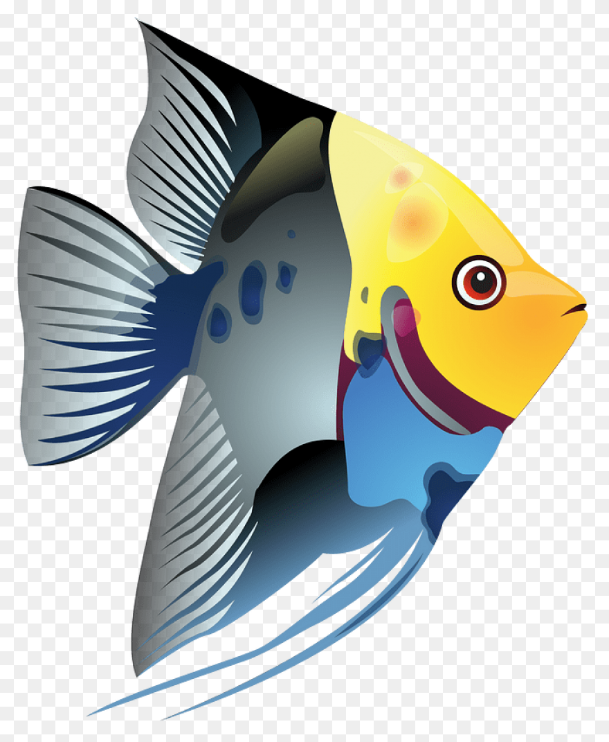 Tropical Fish Clipart Transparent F