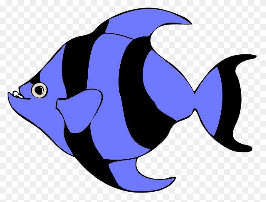 Tropical Fish Clipart Transparent F
